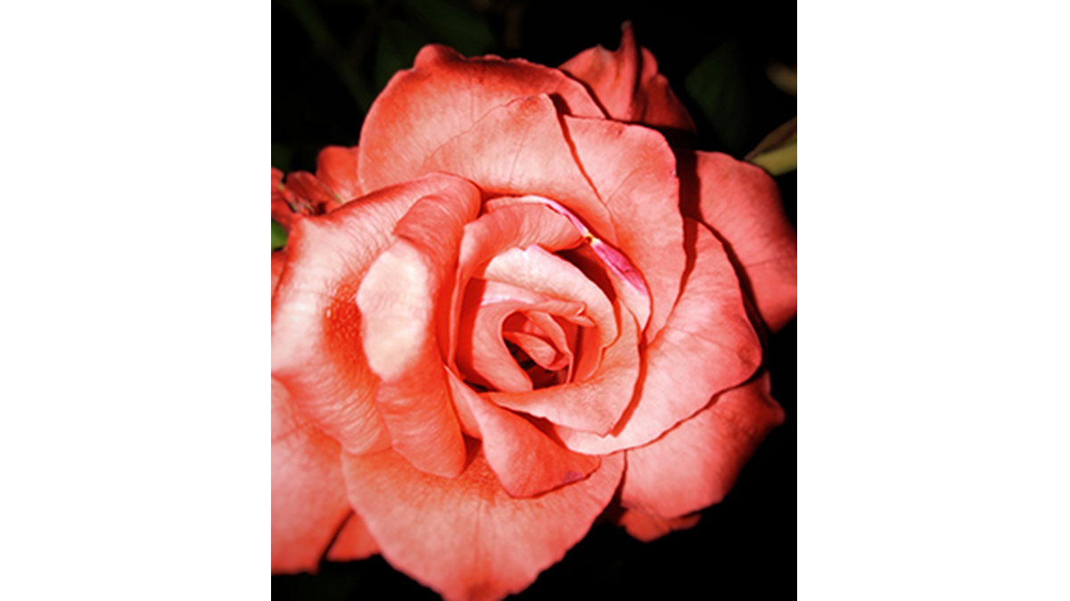 Janet Haight Obituary Reading Pa Henninger Funeral Home Inc