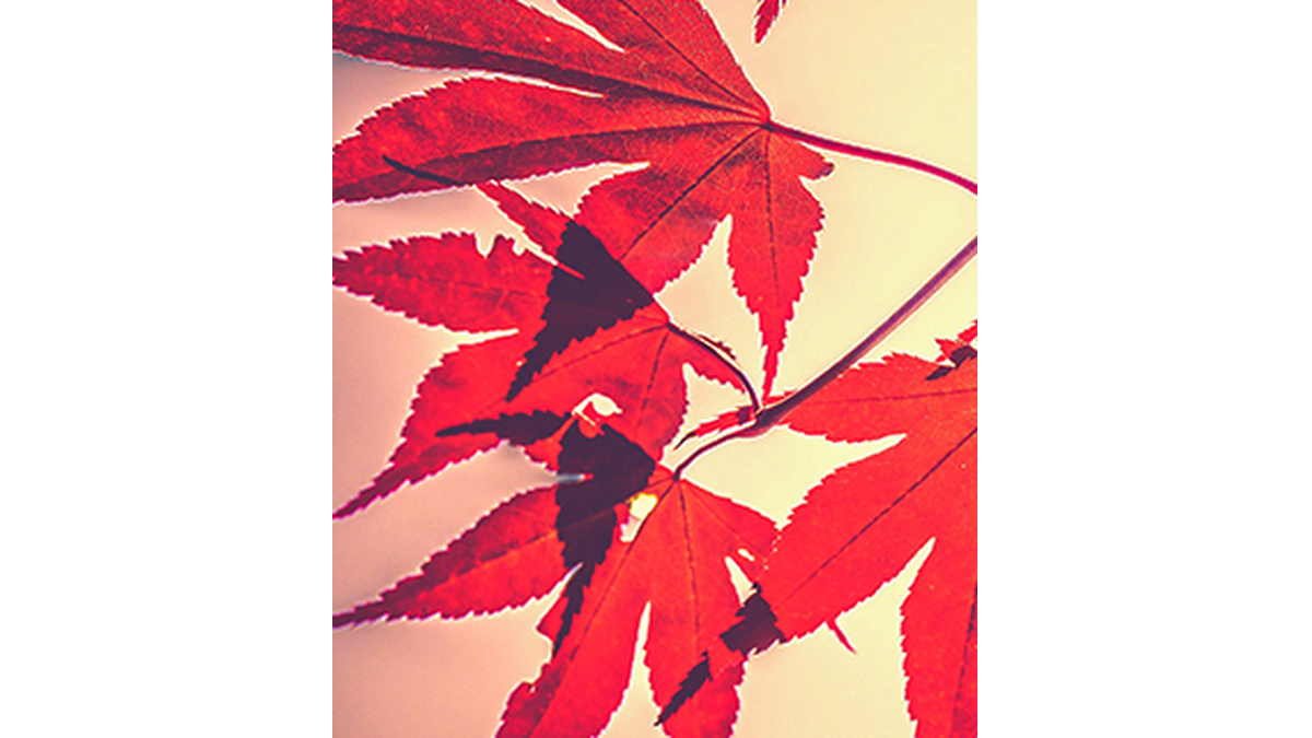 Daniel Brito Obituary Reading Pa Henninger Funeral Home Inc