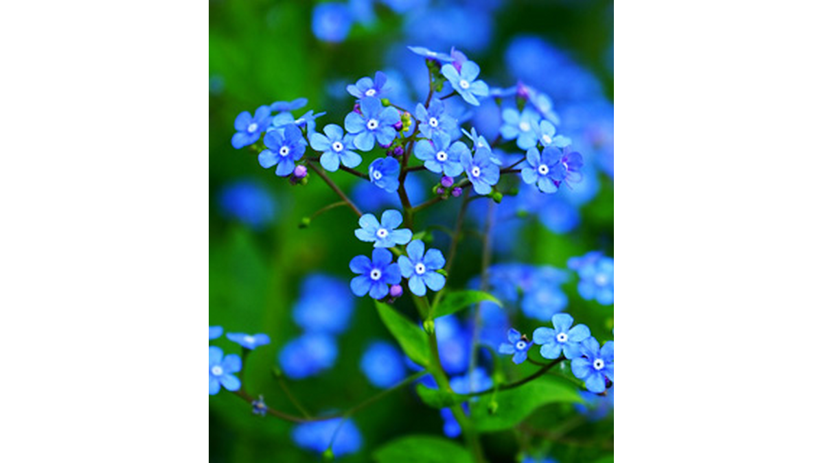 Sally Fidler Obituary Reading Pa Henninger Funeral Home Inc